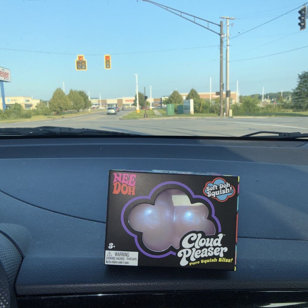 Schylling Nee Doh Cloud Pleaser Soft Doh Squish Squeeze Toy Purple Shimmers